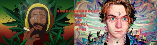 герыч Дмитровск