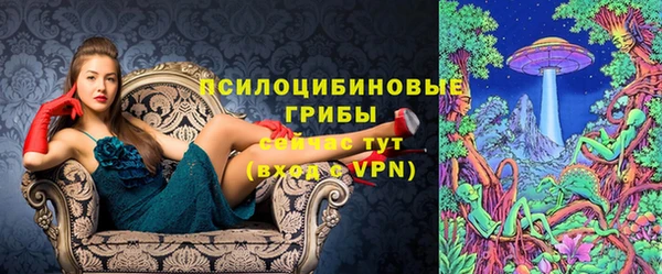 spice Дмитриев