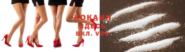 spice Дмитриев