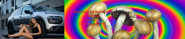 мяу мяу кристалл Дмитров