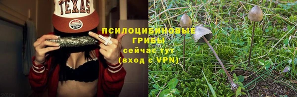 мяу мяу кристалл Дмитров